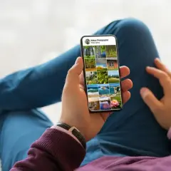 Wywołaj zdjęcia z telefonu: Poradnik, ceny i jakość