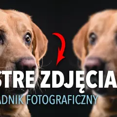 Ostre zdjęcia: Jak uzyskać idealną ostrość krok po kroku?