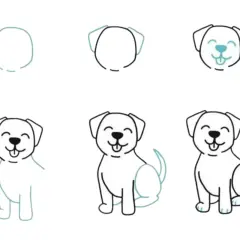 Jak zrobić lineart ze zdjęcia? Poradnik krok po kroku