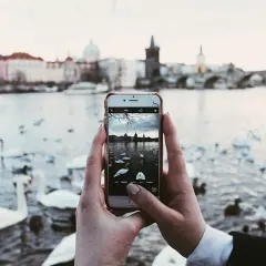 Jak zrobić piękne zdjęcie smartfonem? Proste triki