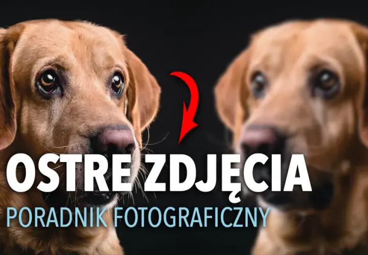 Ostre zdjęcia: Jak uzyskać idealną ostrość krok po kroku?