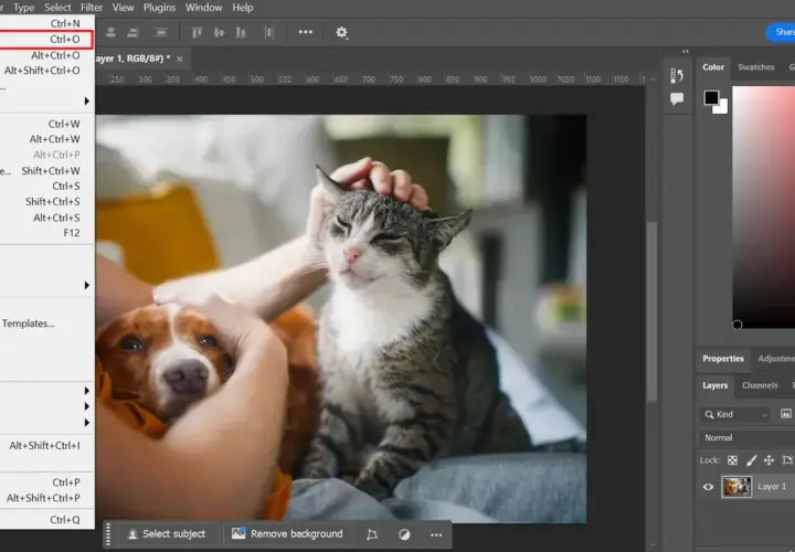 Poprawa jakości zdjęć w Photoshopie: Praktyczny przewodnik