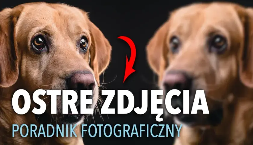 Ostre zdjęcia: Jak uzyskać idealną ostrość krok po kroku?