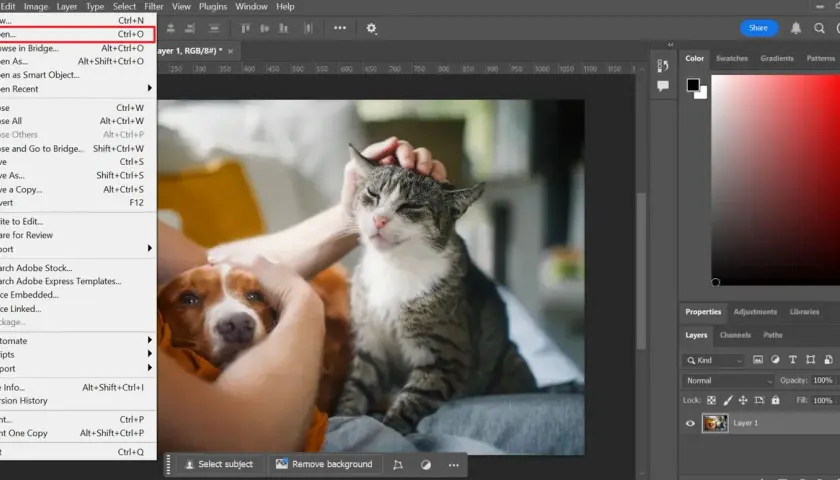 Poprawa jakości zdjęć w Photoshopie: Praktyczny przewodnik