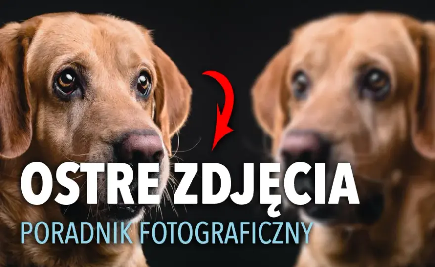 Ostre zdjęcia: Jak uzyskać idealną ostrość krok po kroku?