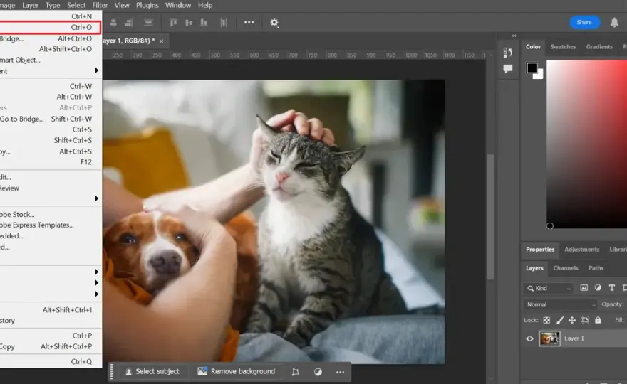 Poprawa jakości zdjęć w Photoshopie: Praktyczny przewodnik