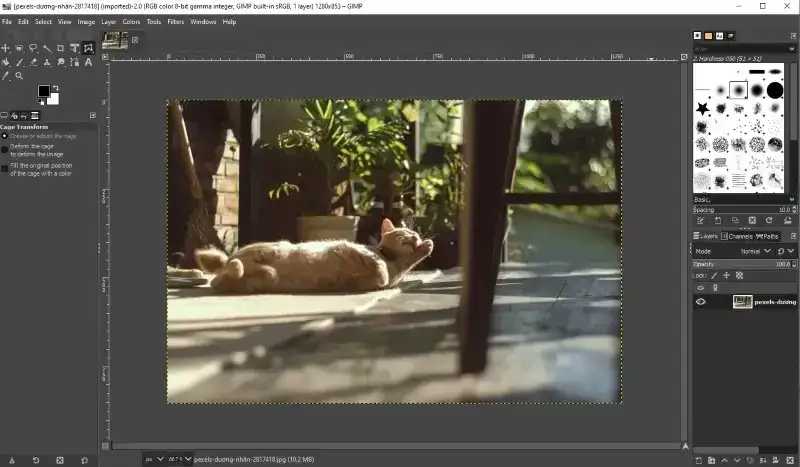 Comparison of GIMP, Photopea, Canva interfaces